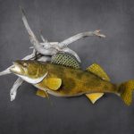 ck-taxidermy-fish-mounted1
